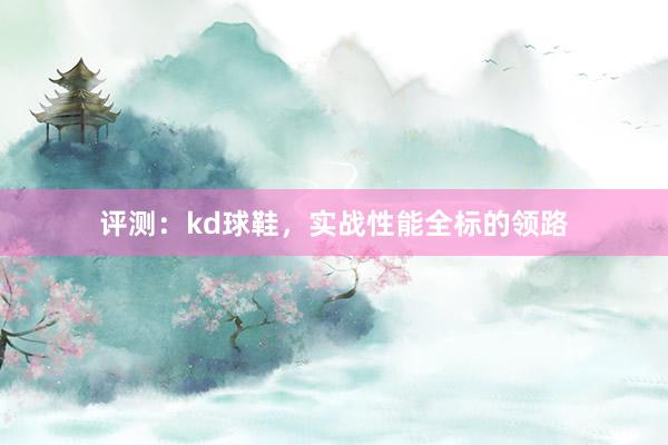 评测：kd球鞋，实战性能全标的领路